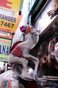 DSC06369    